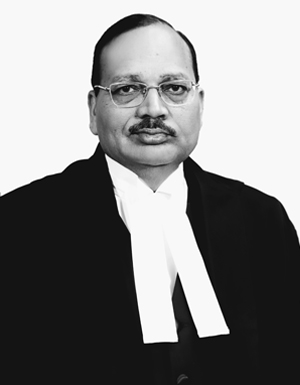 Hon'ble Mr. Justice Sanjay Kishan Kaul